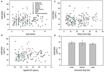 Plasma Concentration of Advanced Glycation End-Products From Wild Canids and Domestic Dogs Does Not Change With Age or Across Body Masses